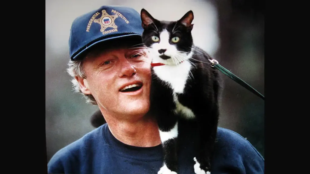 Día del Gato 2026: 5 Curiosidades que Todo Amante de los Felinos Debe Saber 2 Socks gato de el expresidente Bill Clinton