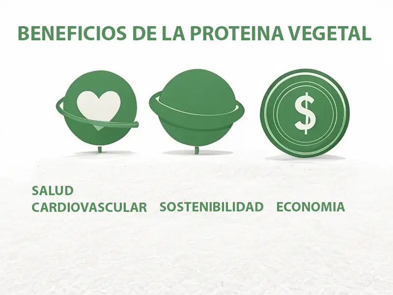 Infografía sobre los beneficios de la proteína vegetal