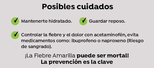 Fiebre Amarilla en Colombia: Síntomas, Prevención y Todo lo que Necesitas Saber 5 posibles cuidados Fiebre amarilla